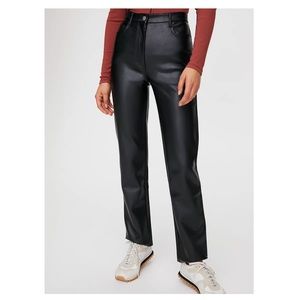 ARITZIA Wilfred leather pants